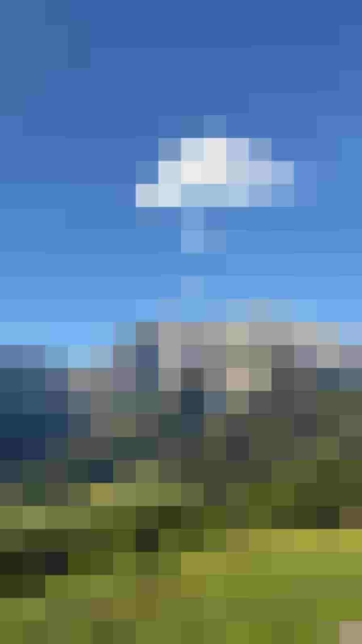 Grüne Almwiese mit Blick auf das Hochkönigmassiv und blauen Himmel